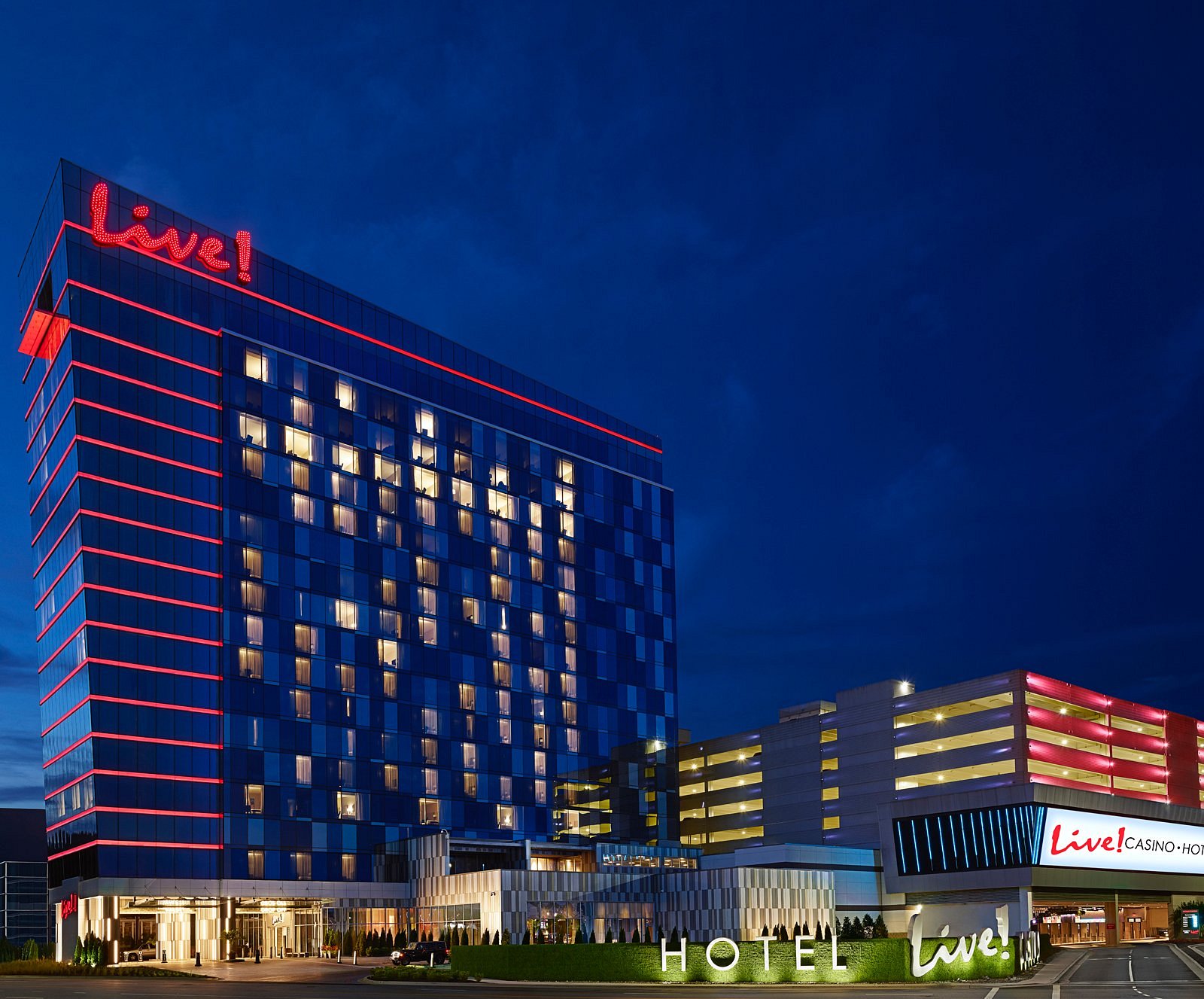 live casino
